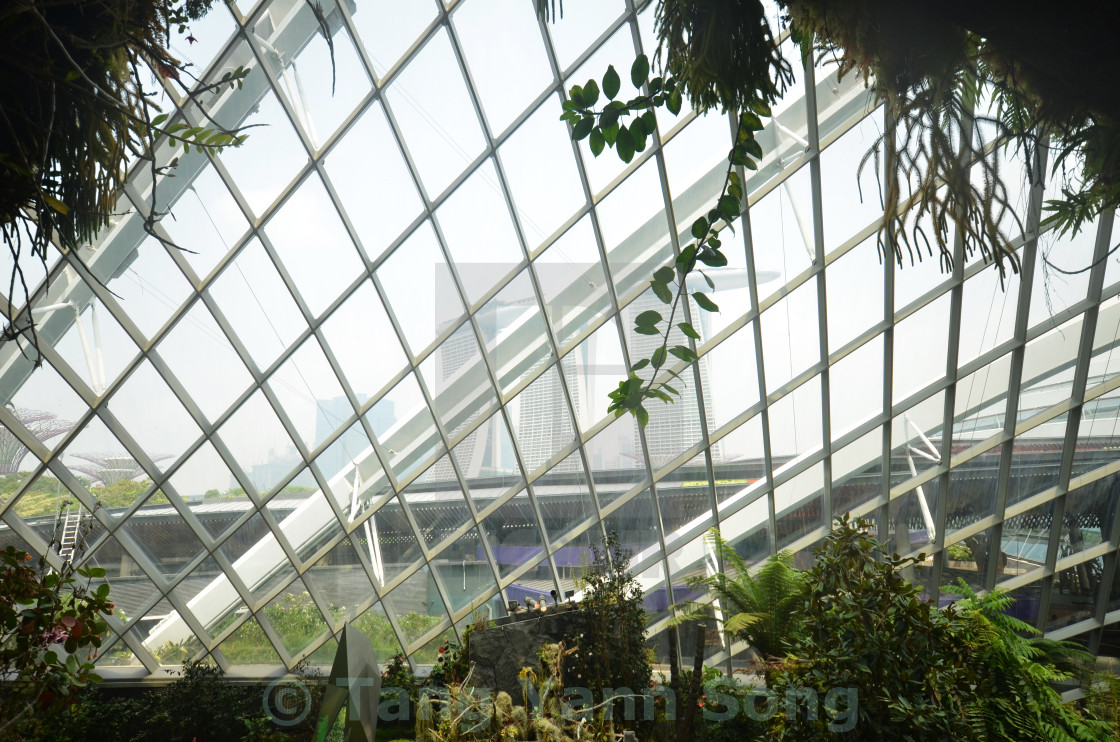 Gardens Gardens